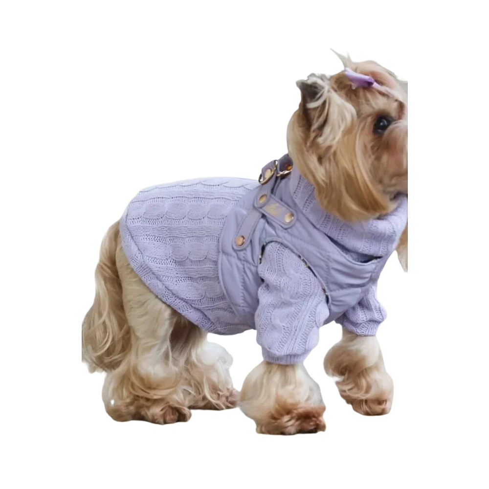 Lavender knitted wool sweater with scalloped pattern and gold buttons for small dogs chroni szyję pupila pet fashion etoile