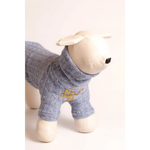 Blue knitted pet sweater with wywijany golf and gold embroidery designed for pet fashion etoile dla psa