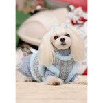A fluffy white dog in a niebieski sweterek wełniany z wywijanym golfem dla psa pet fashion etoile