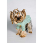 A mint green knitted wool sweater with turtleneck and gold star embroidery for pet fashion etoile dla psa