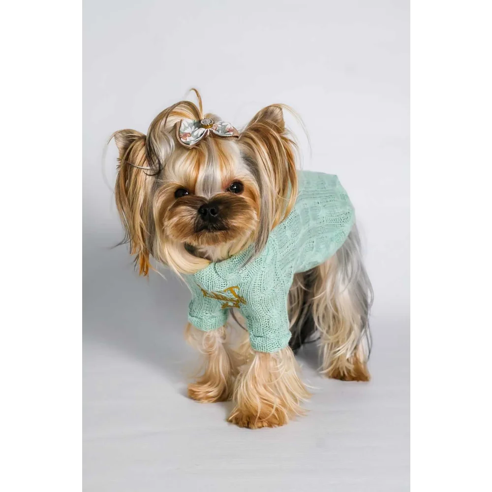 A mint green knitted wool sweater with turtleneck and gold star embroidery for pet fashion etoile dla psa