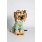 Light green knitted wool sweater with turtleneck and gold lettering for psa pet fashion etoile accessory