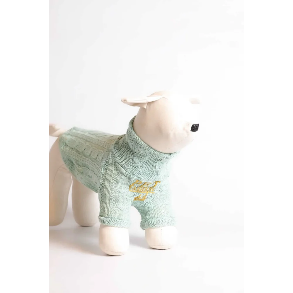 Mint green wool cable knit dog sweater with gold embroidery designed for pet fashion etoile dla psa