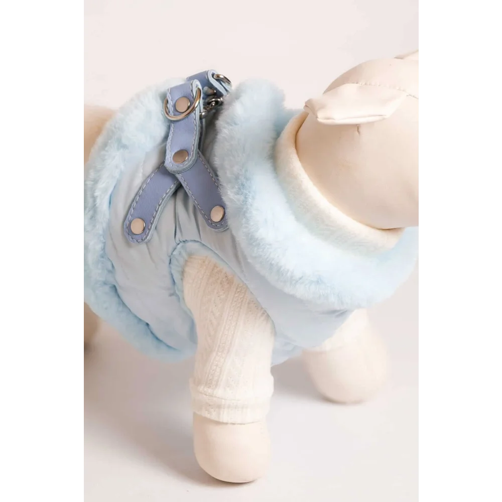 Light blue faux fur dog vest with szelki bezuciskowe featuring okucia pokryte 24k gold metal hardware