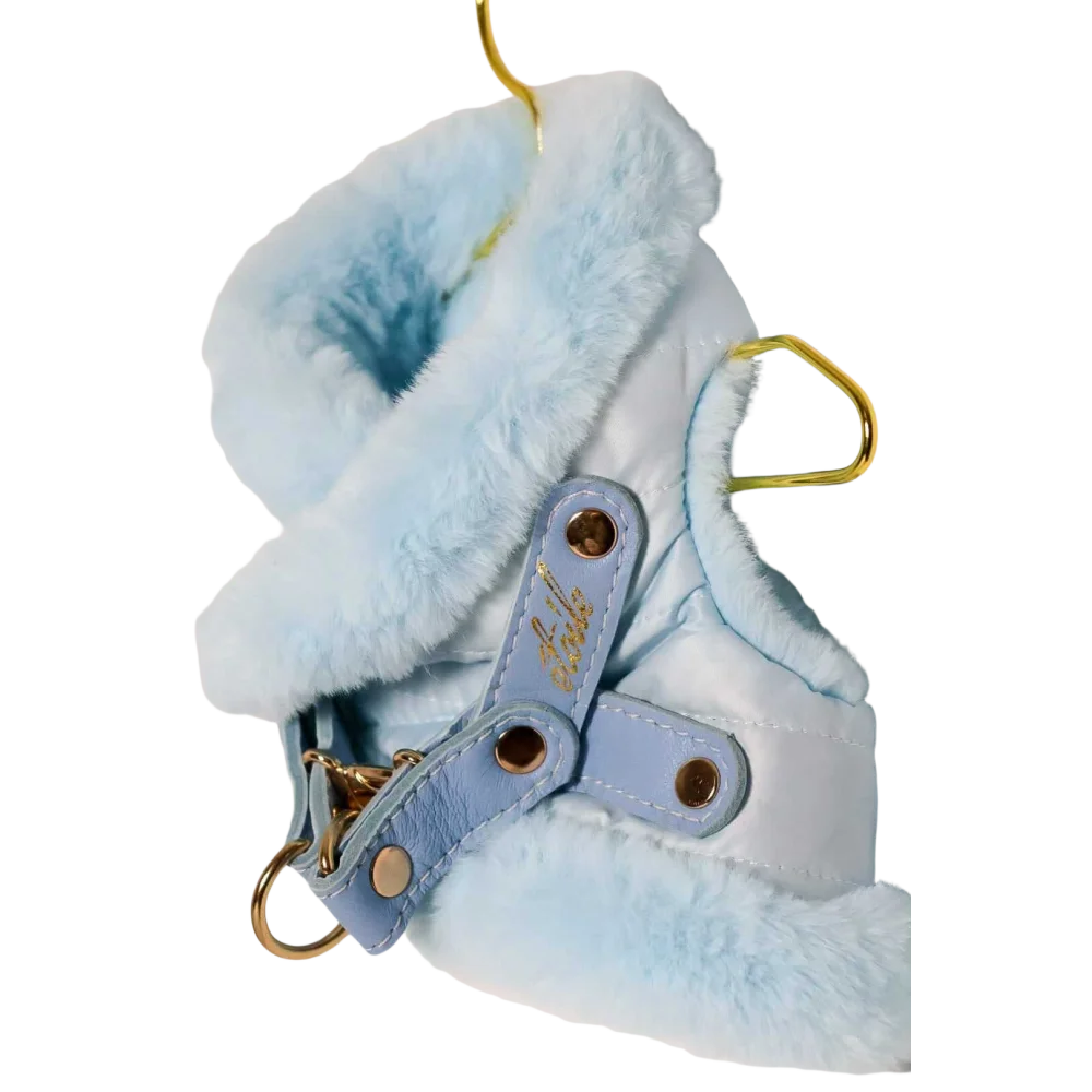 Light blue szelki bezuciskowe dog harness with fur lining leather straps and okucia pokryte 24k gold hardware