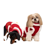 Two small dogs wearing festive red and white sweterek z naturalnej wełny and szelki tweedowe z futerkiem