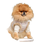 Fluffy tan pomeranian wearing a beige zestaw 2w1 for psa with naturalne ciepło and adjustable obwód klatki