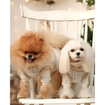 Fluffy orange and white pomeranian wearing beige zestaw 2w1 for psa with naturalne ciepło and adjustable obwód klatki