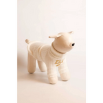 Cream-colored knitted sweater for dogs with ribbed cuffs and collar in zestaw 2w1 dla psa with bezuciskowe szelki