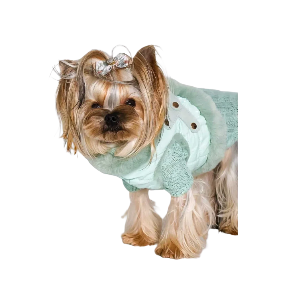 Delicate mint green knitted dog sweater with scalloped edges and buttons in zestaw 2w1 etoile anastazja naturalnej wełny