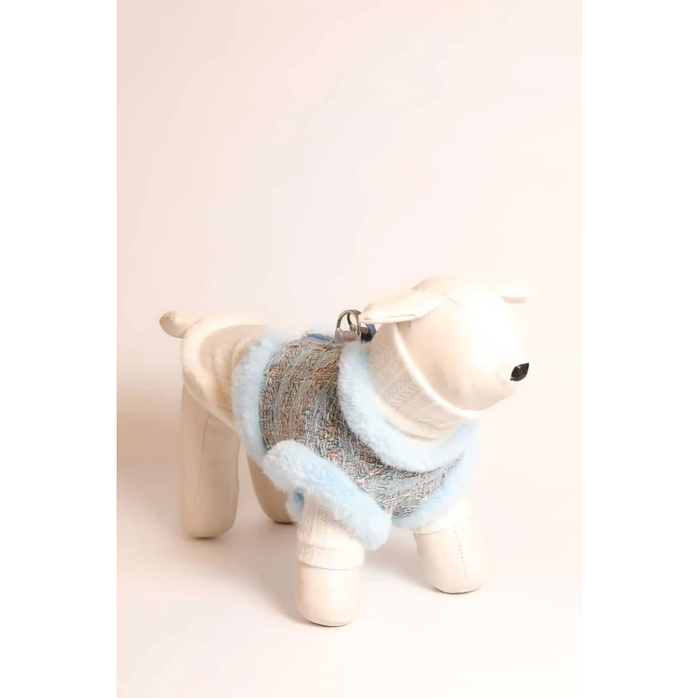 Light blue faux fur-trimmed dog sweater with tweed pattern in zestaw 2w1 dla psa ręcznie wykonany design