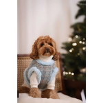 A fluffy brown dog wearing a ręcznie wykonany zestaw 2w1 dla psa niebieski with knit sweater and harness