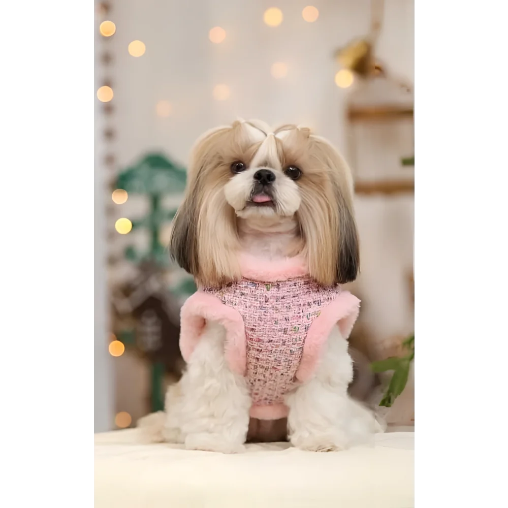 A fluffy shih tzu wearing a pink tweed vest with plush trim in a zestaw 2w1 dla psa made of naturalnej wełny