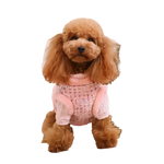 A fluffy brown poodle in a pink tweed vest and knitted arm cuffs showcasing a zestaw 2w1 dla psa from naturalnej wełny