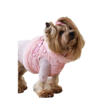 A fluffy yorkshire terrier wearing a różowy zestaw 2w1 dla psa with obwód klatki and obwód szyi adjustments