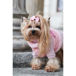 A fluffy yorkshire terrier wearing a pink quilted zestaw 2w1 sweterek with lace trim and bow showing obwód klatki and szyi