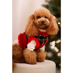 A fluffy brown poodle wearing zestaw 2w1 dla psa with red and black szkocka krata sweterek showing obwód szyi and klatki